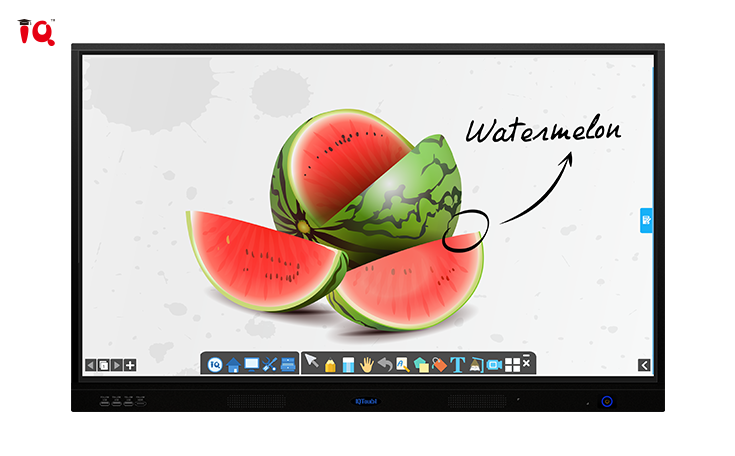 IQTouch C Pro Interactive Display