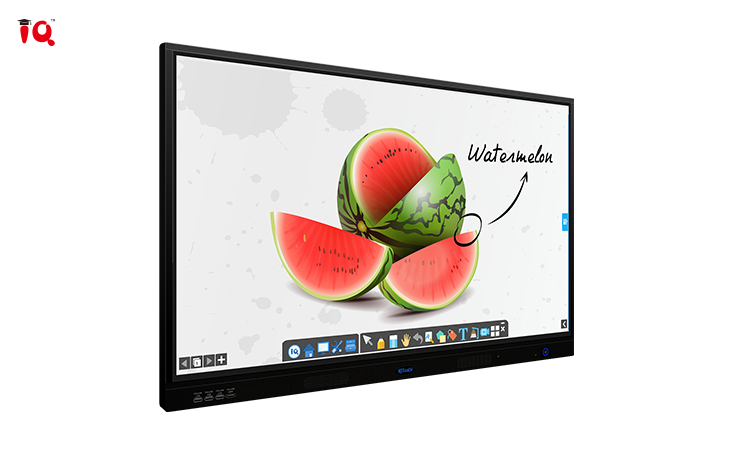 IQTouch C Pro Interactive Display